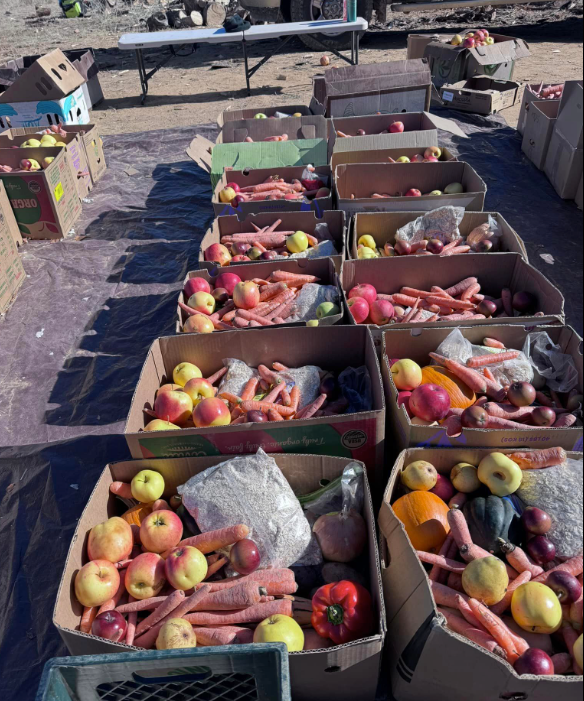 Boxes of food donations from the 2024 Beauty Way Supply Run